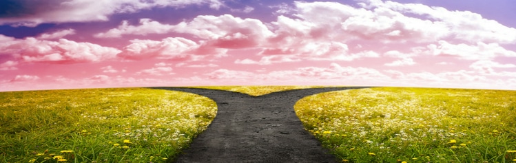 two paths demonstrating the decision between Ubuntu and Centos