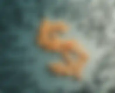 ipv4-features-money
