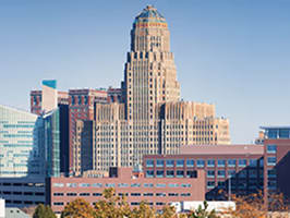 buffalo-colo