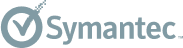 symantec logo grey