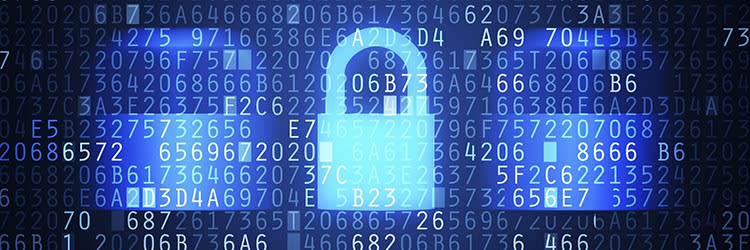 A Data Security Policy Makes Employees Accountable For Keeping Data Safe
