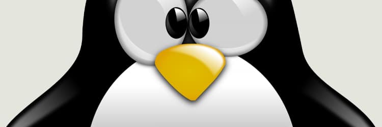 happy-twenty-fifth-birthday-linux-750×410