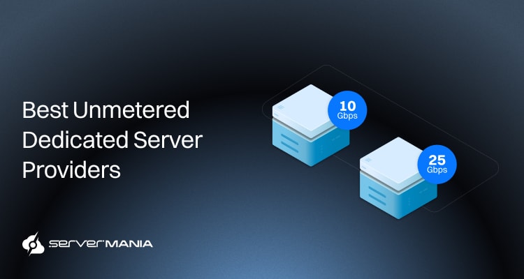 Unmetered dedicated server