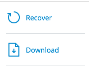 Download or Recover the file