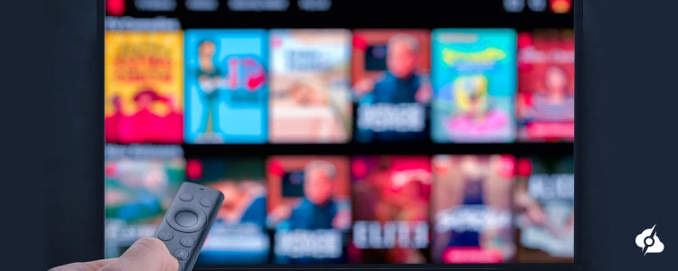 The image is showing a TV screen with video streaming platforms.