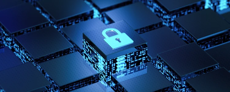 What is Data Encryption in Network Security? - ServerMania