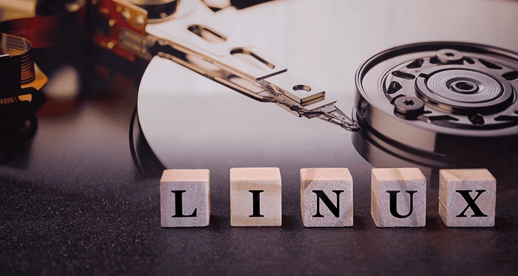 linux logo in front of the hard drive