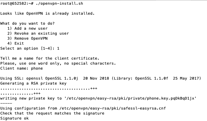 open vpn install instructions