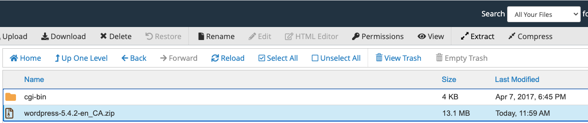 Select the WordPress file and click Extract