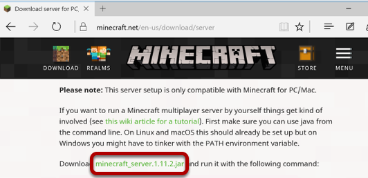 Download Minecraft Server